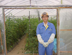 北海道アグリマート　トマト生産者